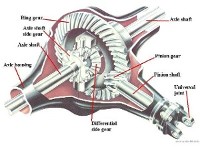 San Antonio Differential Parts, Differential Products, Parts For Sale, Performance Parts, Performance Differential Parts, Ring & Pinion Parts, Free Differential Performance Check Sergeant Clutch Discount Differential Repair Shop San Antonio, Texas